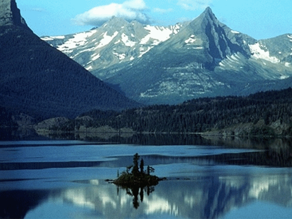 Banff_National_Park-Canada_CatnipMini1-2.gif